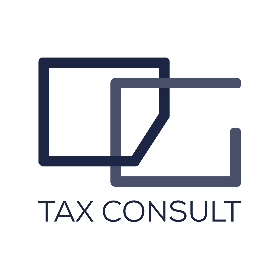 200_DG Tax Consult_logo