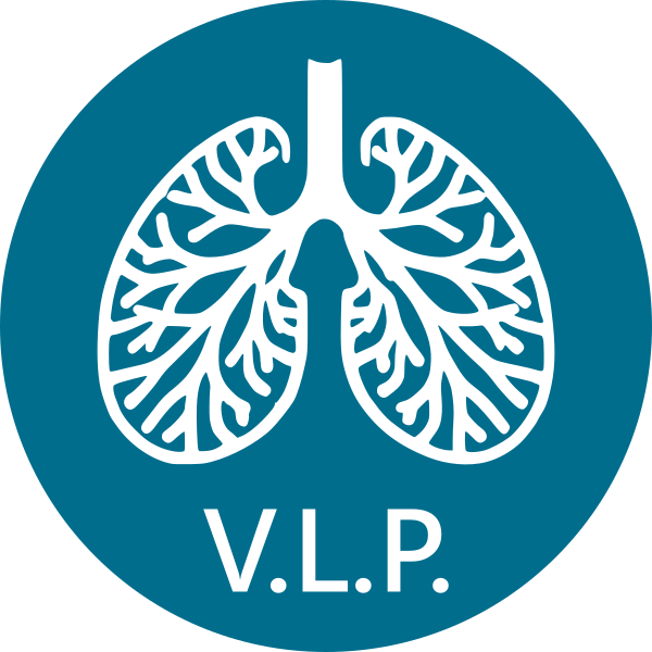 logo vlp